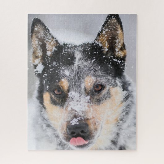 Blue Heeler Hund im Schnee Puzzle (Vertikal)