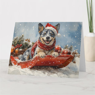 Blue Heeler Hund in Sledge Lass es Schnee Weihnach Karte