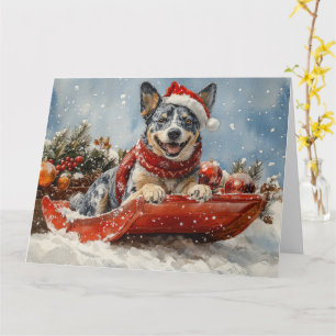 Blue Heeler Hund in Sledge Lass es Schnee Weihnach Karte