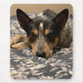 Blue Heeler Mousepad (Vorne)