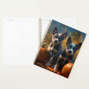 Blue Heeler Welpe Autumn Delight Pumpkin Planer