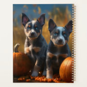 Blue Heeler Welpe Autumn Delight Pumpkin Planer (Rückseite)
