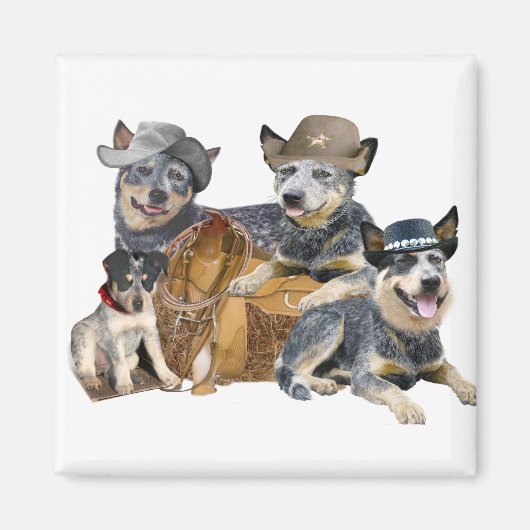 Blue Heeler's Go Western Magnete Magnet (Vorne)