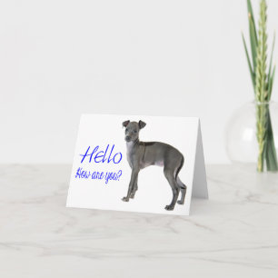 Blue Hello Greyhound Puppy Karte