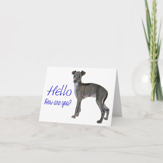Blue Hello Greyhound Puppy Karte (Vorderseite)
