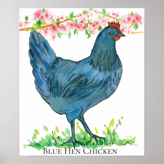 Blue Hen Chicken Staat Bird von Delaware Poster (Vorne)