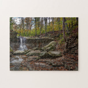 Blue Hen Falls Puzzle