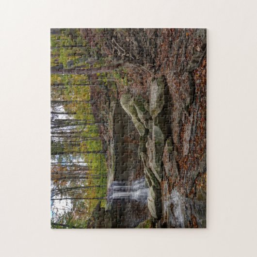 Blue Hen Falls Puzzle (Vertikal)