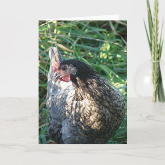 Blue Hen Karte (Vorderseite)