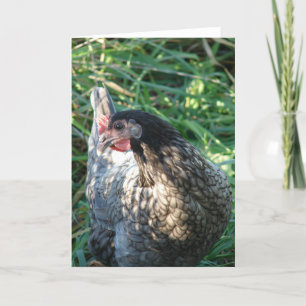 Blue Hen Karte
