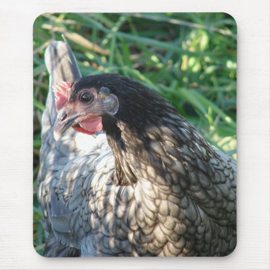 Blue Hen Mousepad (Vorne)