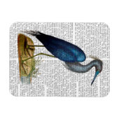 Blue Heron 3 2 Magnet (Horizontal)