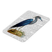 Blue Heron 3 2 Magnet (Linke Seite)