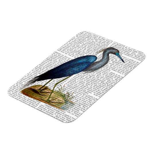 Blue Heron 3 2 Magnet (Linke Seite)