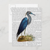 Blue Heron 3 2 Postkarte (Vorne/Hinten)