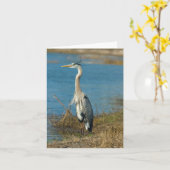 Blue Heron at Pond Card Karte (Gelbe Blume)
