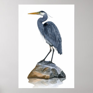 Blue Heron auf Rock Poster