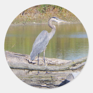 Blue Heron Aufkleber