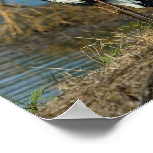 Blue Heron bei Pond Print Poster (Ecke)