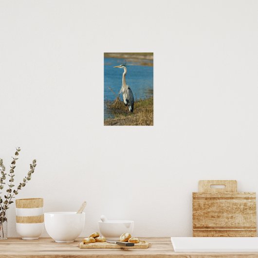 Blue Heron bei Pond Print Poster (Küche)