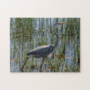 Blue Heron Bird Florida Closeup Foto Puzzle