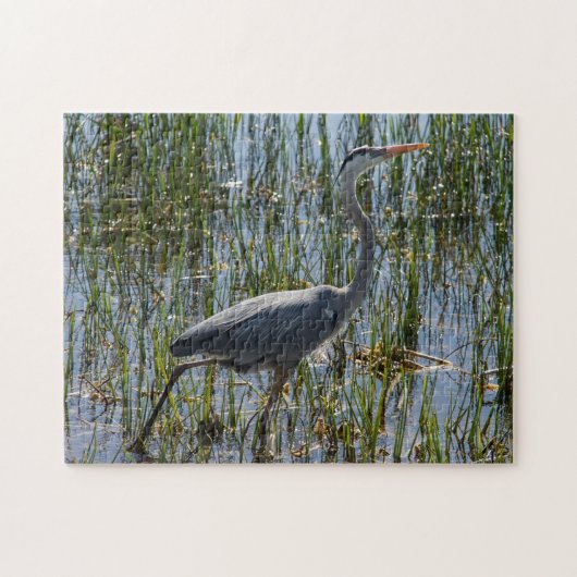 Blue Heron Bird Florida Closeup Foto Puzzle (Horizontal)