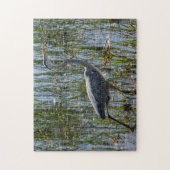 Blue Heron Bird Florida Closeup Foto Puzzle (Vertikal)
