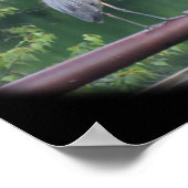 Blue Heron Bird Poster (Ecke)