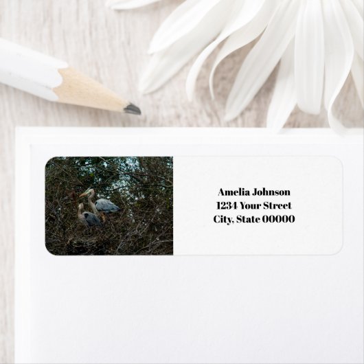 Blue Heron Birds Nest Personalize Rücksendeadresse (Insitu)