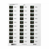 Blue Heron Birds Nest Personalize Rücksendeadresse (Vorne)