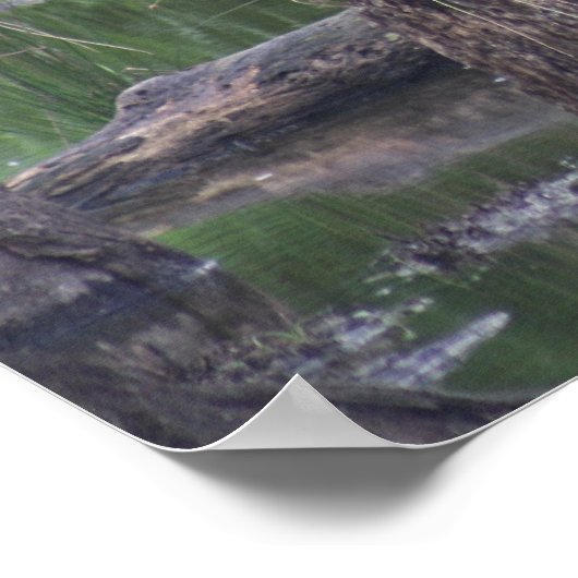 Blue Heron Canvas Print Poster (Ecke)