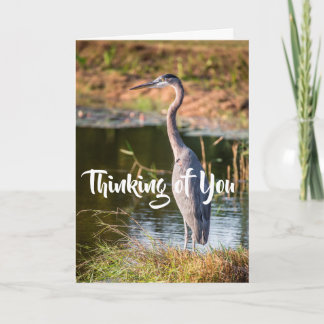 Blue Heron denkt an dich Karte
