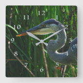 Blue Heron Early Bird Hunter Quadratische Wanduhr (Vorderseite)