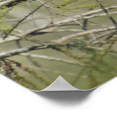 Blue Heron Everglades NAtional Park Poster (Ecke)