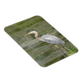 Blue Heron Flexible Foto Magnet (Rechte Seite)