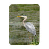 Blue Heron Flexible Foto Magnet (Vertikal)