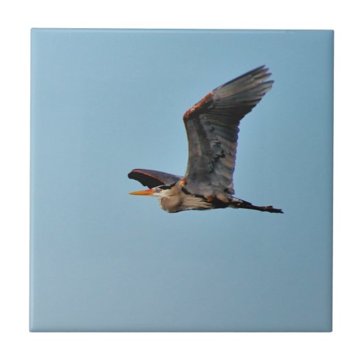 Blue Heron Fliese (Vorderseite)