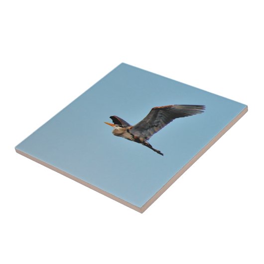 Blue Heron Fliese (Seite)