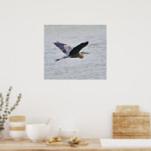 Blue Heron im Flugdruck Poster (Küche)