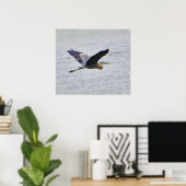 Blue Heron im Flugdruck Poster (Heimbüro)