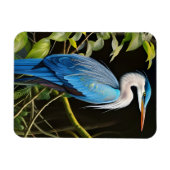 Blue Heron Magnet (Horizontal)