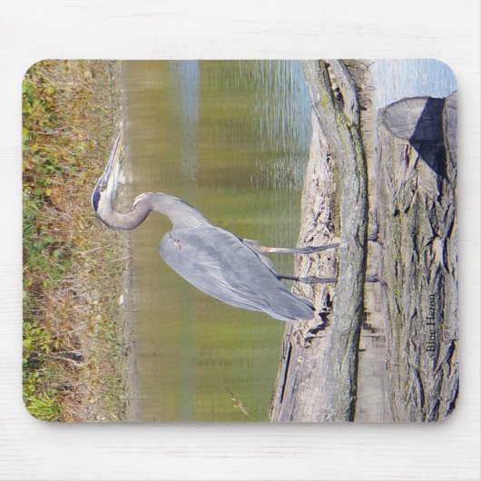 Blue Heron Mousepad (Vorne)