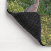 Blue Heron Mousepad (Ecke)