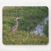 Blue Heron Mousepad (Vorne)