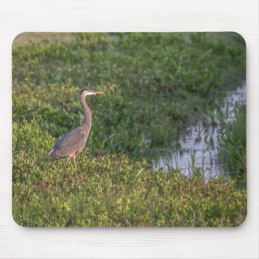 Blue Heron Mousepad (Vorne)