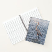 Blue Heron Notebook Notizblock (Innenseite)
