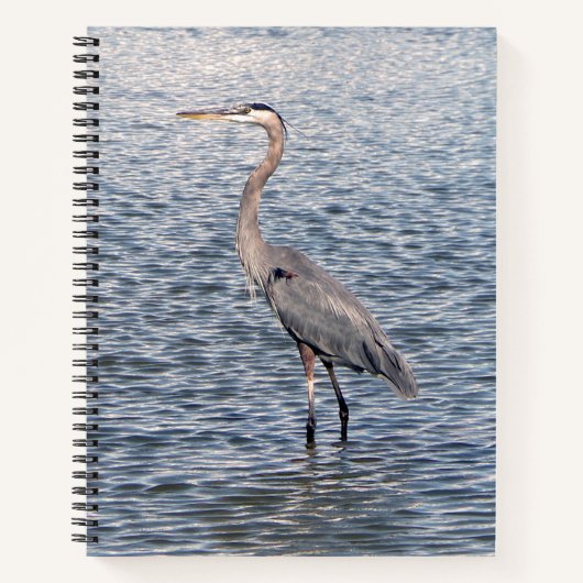 Blue Heron Notebook Notizblock (Vorderseite)