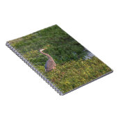 Blue Heron Notizblock (Rechte Seite)
