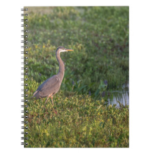 Blue Heron Notizblock