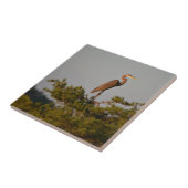 Blue Heron on Tree Oben Fliese (Seite)